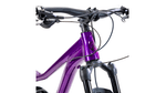 xta-ds-2024-purpura-3.png