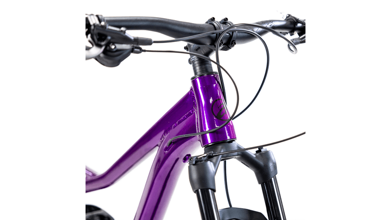 xta-ds-2024-purpura-3.png