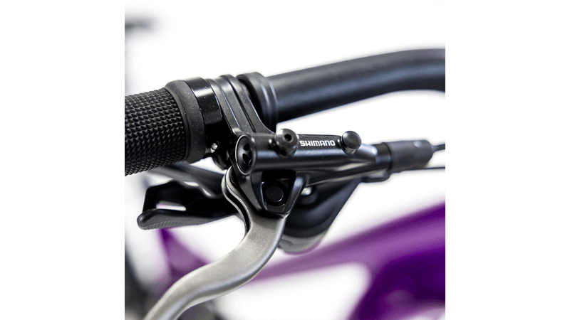 xta-ds-2024-purpura-1.png