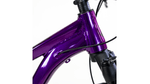 xta-ds-2024-purpura-5.png