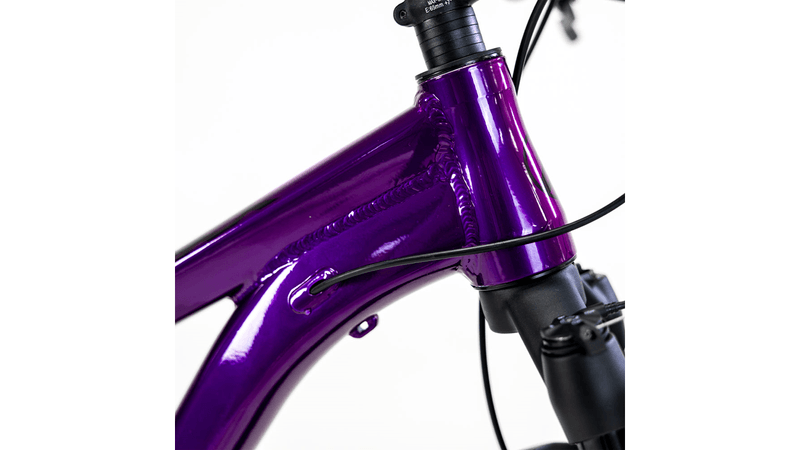 xta-ds-2024-purpura-5.png