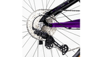 xta-ds-2024-purpura-4.png