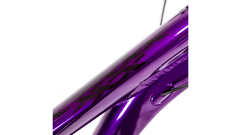 xta-ds-2024-purpura-6.png