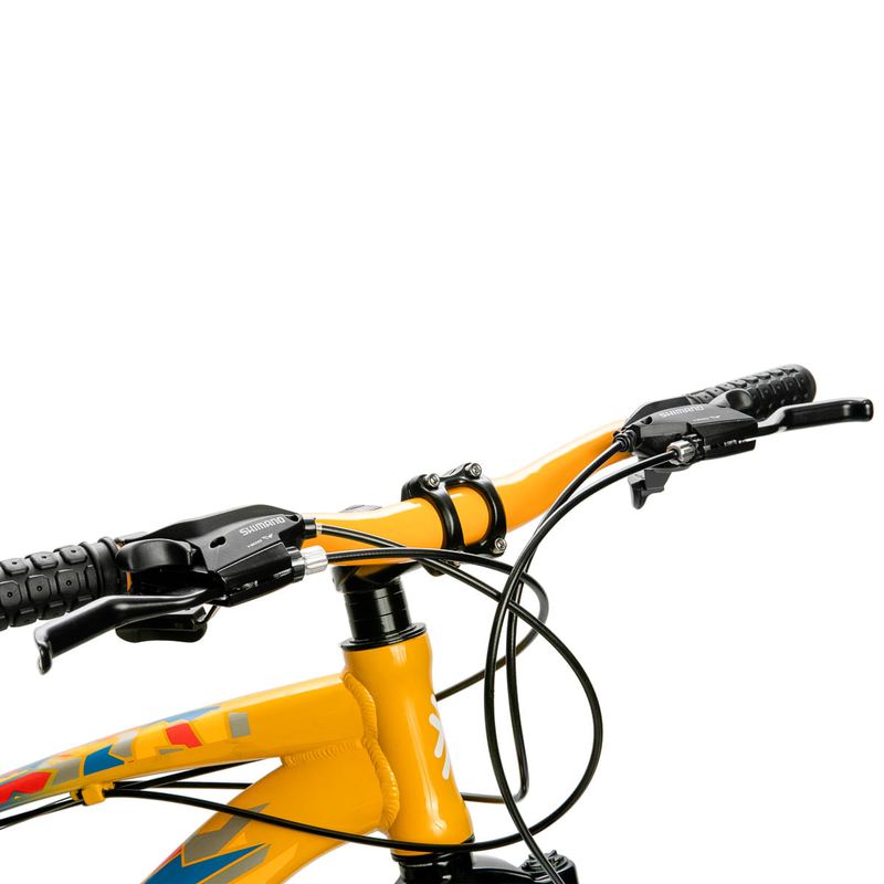 Bicicleta de Montaña